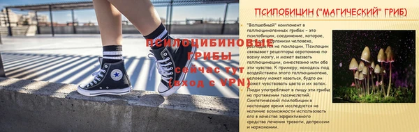 мет Козловка