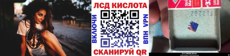 Наркотические марки 1500мкг  где купить   Шенкурск 