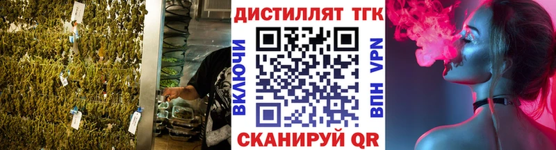 OMG ТОР  Шенкурск  ТГК жижа 