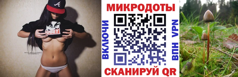 Галлюциногенные грибы GOLDEN TEACHER  блэк спрут рабочий сайт  Шенкурск 