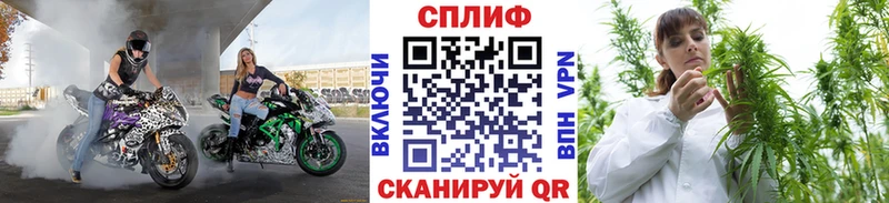 Каннабис OG Kush Шенкурск